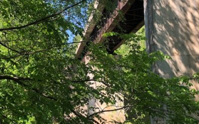 Hopyard to Horse Shoe Farm